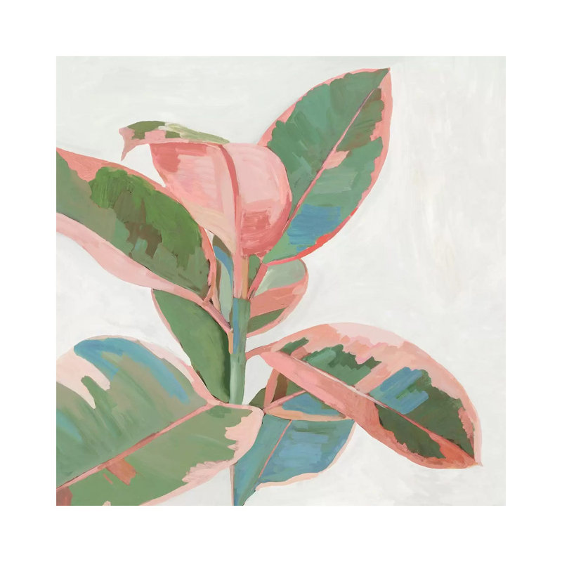 Pink Ficus I by Asia Jensen - Painting on Canvas, Wrapped Canvas, 66.04cm H x 66.04cm W x 1.91cm D
