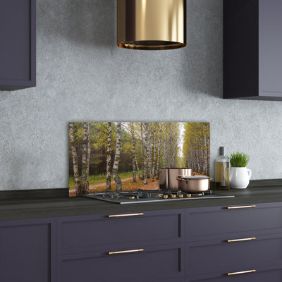 Garet 50cm W x 100cm L Glass Peel and Stick Panel
