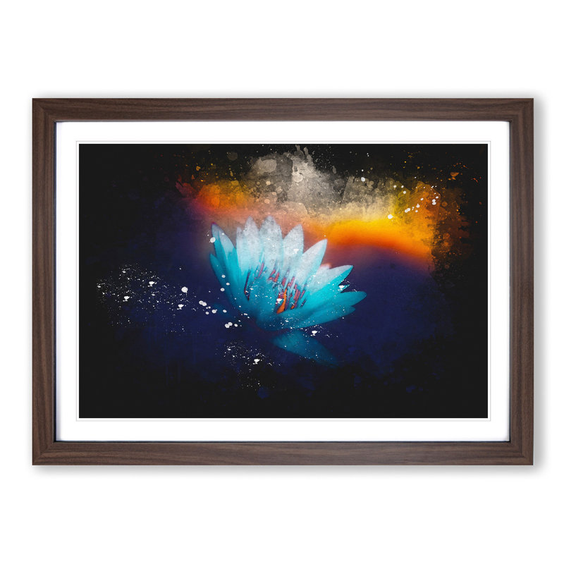 Lotus Flower - Picture Frame Graphic Art Print, 24cm H x 33cm W x 2cm D, Walnut Framed