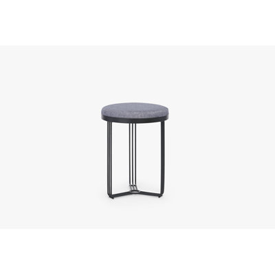Ariss Stainless Steel Accent Stool