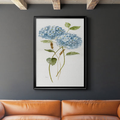 " Petite Blue Hydrangea II "