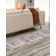 Nienke Oriental Indoor Rug