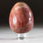Petrified Wood Egg-124930752-124930756