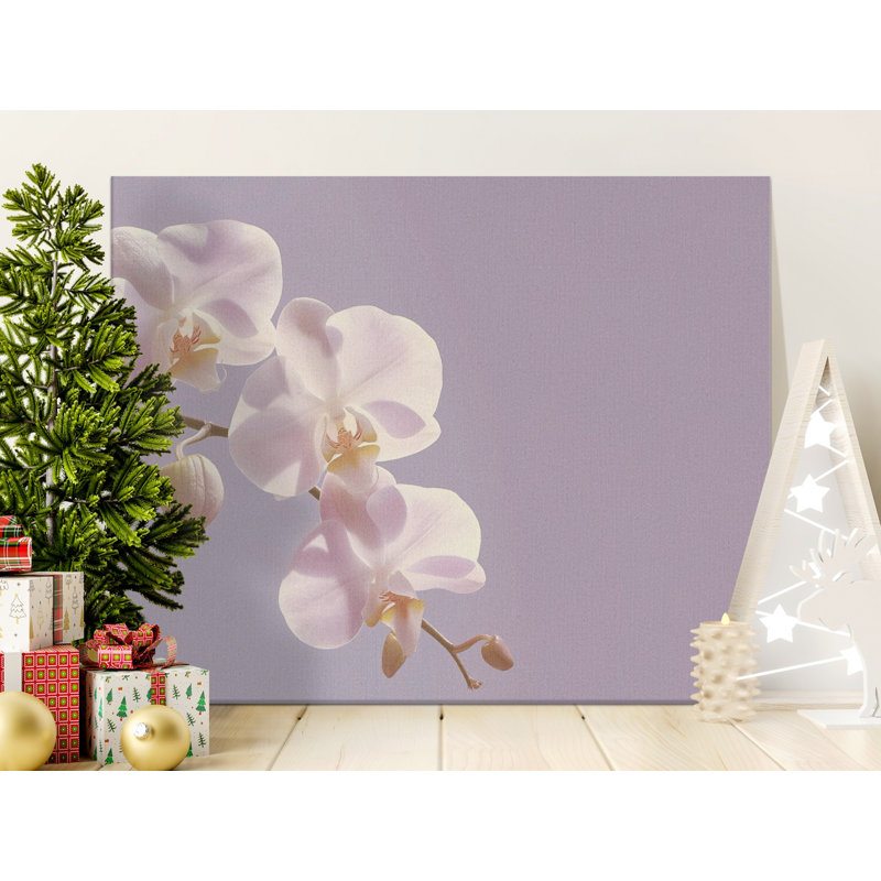 Schilling Wrapped Canvas Print Set, 20x10