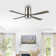 Theo 52'' Ceiling Fan with LED Lights