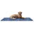 Muddy Paws Chenille Towel and Shammy Pet Mat-26114037-27041470