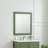 Bernharda 28 in. W x 32 in. H Modern & Contemporary Rectangular Framed Surface-Mount Bathroom Vanity Mirror in Forest Green-1433392898-1368959436