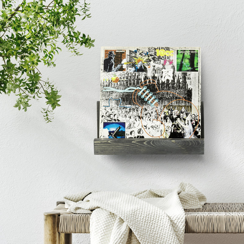 5.9'' H Wall Mounted Vinyl Record Album Media Storage