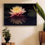 Photographie, étude, nénuphar encadré sur toile-94357160-94357161