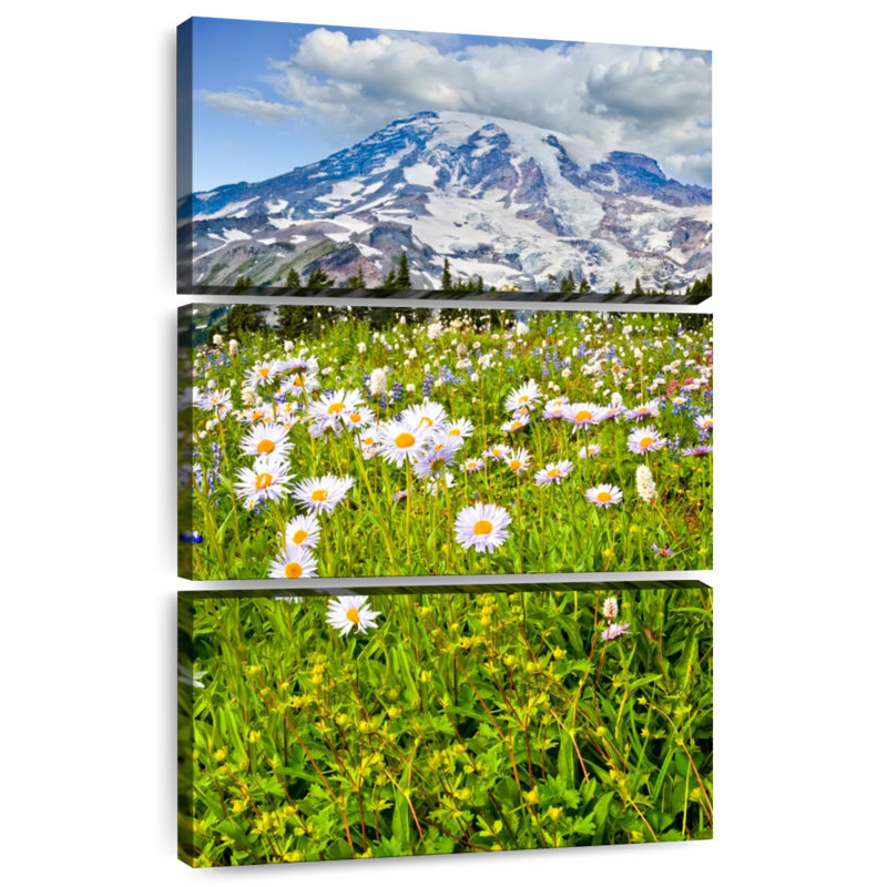 Alvord Mount Rainier Meadow, H 65 po x l 42 po