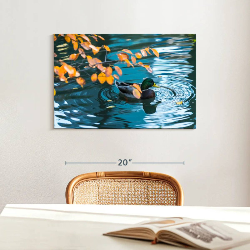 Brampt Mallard Duck On Pond, 16" H x 24" W