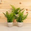 Ensemble de 3 plantes artificielles en pot