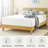Sleep by Wayfair™ 14" Medium Cooling Gel Memory Foam Mattress-69518015-122000017