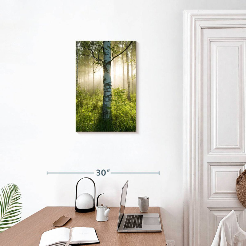 Harnek Sunlit Birch Tree, 24" H x 16" W