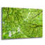 «Irish Green» par Mark A Paulda-1058946664