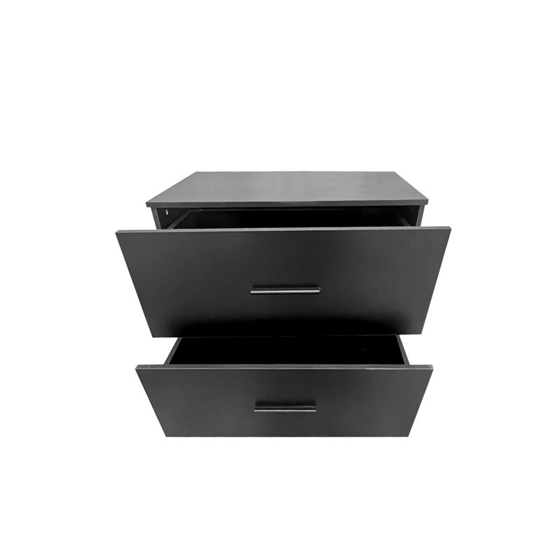 Lithgow 30.35'' Wide 2 -Drawer File Cabinet, Black