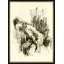 Repose II Framed