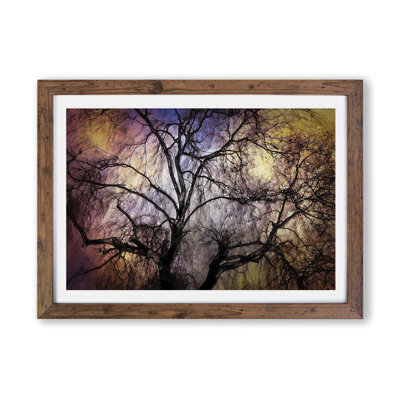 Weeping Willow Tree - Framed Print