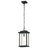 Kulm Outdoor Hanging Lantern
