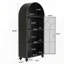 Charmante armoire de rangement arquée pour diverses pièces, rehaussant le décor et la fonctionnalité