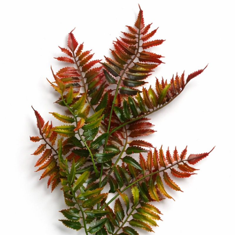 50 cm H Faux Plant, 1