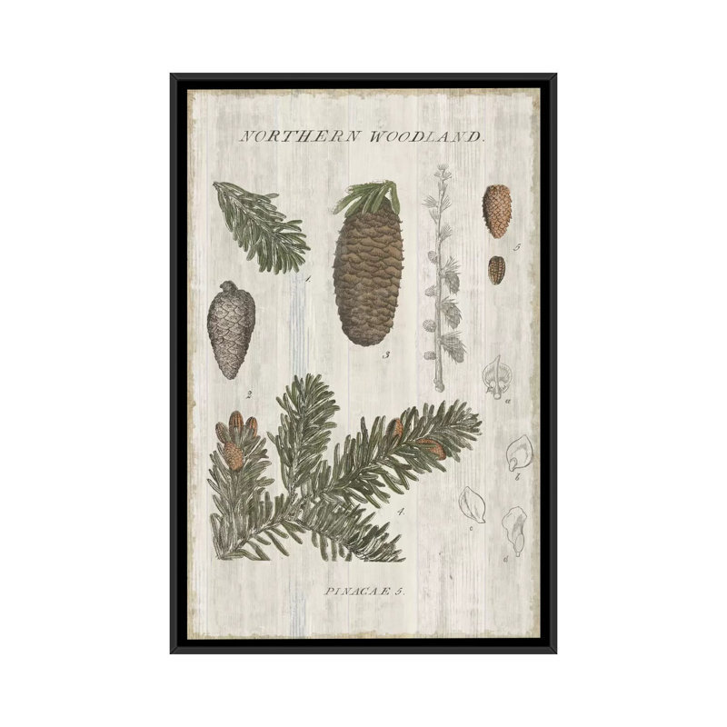Bois forestier iv, impression sur toile tendue, Toile avec cadre noir, Pas de tapis, H 26 po x l 18 po x P 1,5 po