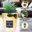 Faux cactus 5,5 po dans un vase décoratif en céramique