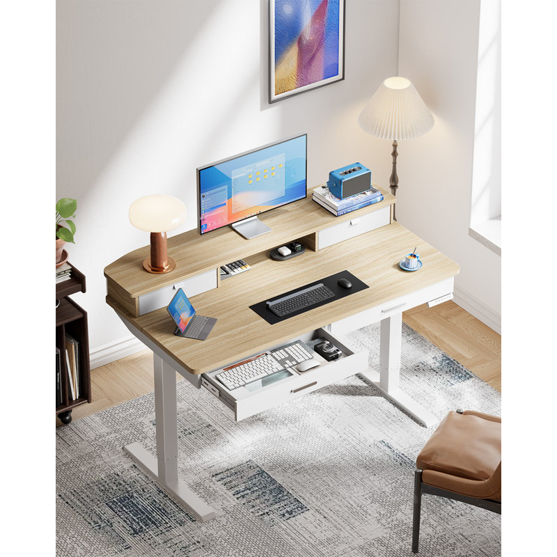 Height Adjustable Electric Standing Desk With Storage Shelf And Pull-Out Drawer, Modern Ergonomic Computer Workstation