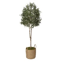 6 Stems Artificial Olive Leaves and Branches with Olives Greenery Flor –  FiveSeasonStuff