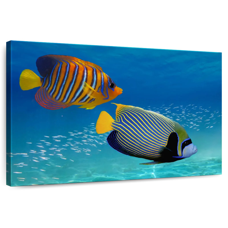 Brampt Exotic Emperor Angelfish, 34" H x 51" W