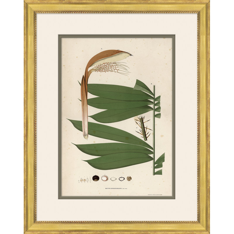 «Palm Leaves», peinture encadrée