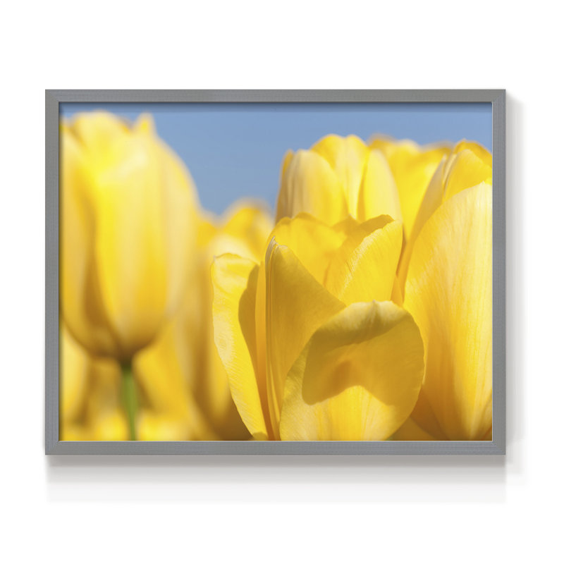 Sunshine Yellow I -Framed Print - Restickable, 8" H x 10" W, Gray