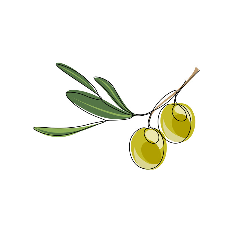 Green Olives - Wrapped Canvas Print, 51cm H x 76cm W x 3.8cm D