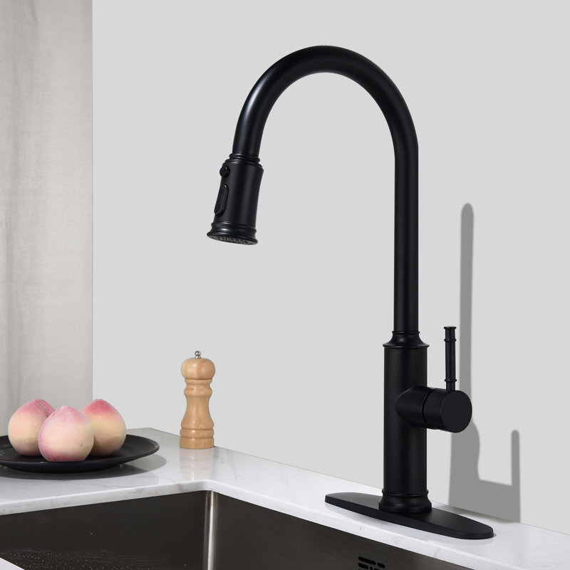 Pull Down Single Handle Kitchen Faucet