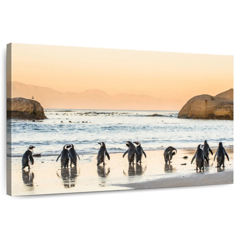 Pingouins bruns sur la côte, H 26 po x l 39 po