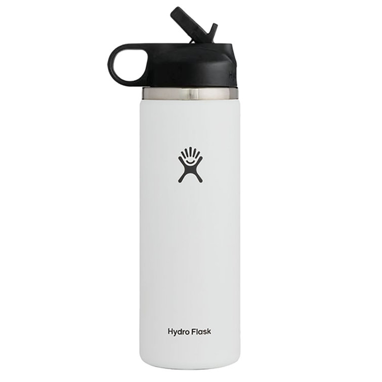 https://assets.wfcdn.com/im/34108155/resize-h755-w755%5Ecompr-r85/1994/199405147/20+oz.+Vacuum+Insulated+Stainless+Steel+Water+Bottle+with+Straw.jpg