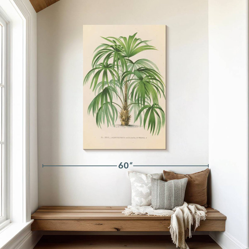 Harnek Palmier II, H 45 po x l 30 po