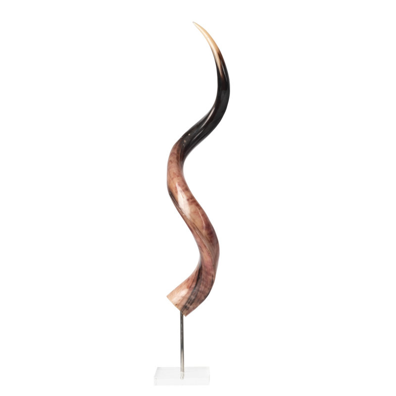 Polished Kudu Horn on Acrylic Display Base