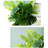9.84'' Faux Fir Plant
