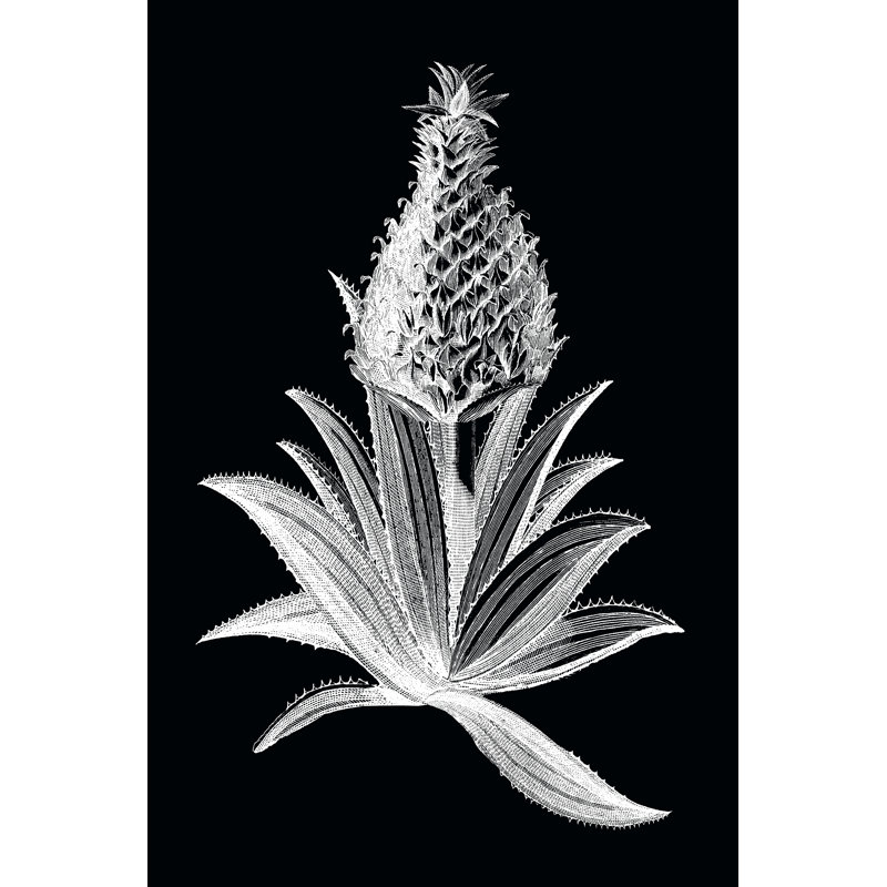 Pineapple Noir I by Vision Studio - Wrapped Canvas Art Prints, 46cm H x 30cm W