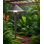 Éclairage de paysage en aluminium imperméable à basse tension à DEL de 4 lumières, 5CCT sélectionnable 2700K-5000K, 12V 3W 160LM IP65 pour trottoir de jardin