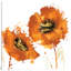 «Flower Burst I» par Vanessa Austin, reproduction d'art graphique sur toile-20903133