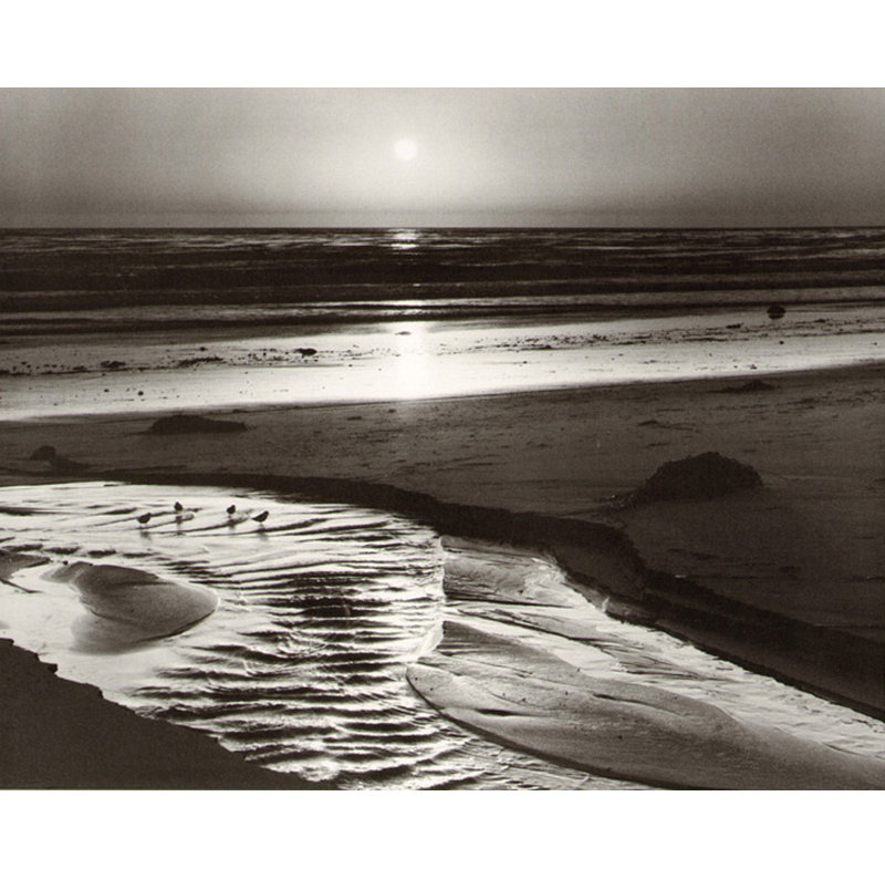 Birds on a Beach, 19" H x 24" W