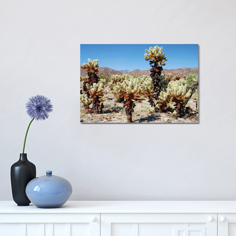 Cholla Cactus by Brian Wolf - Wrapped Canvas Print, 30.48cm H x 45.72cm W x 1.91cm D