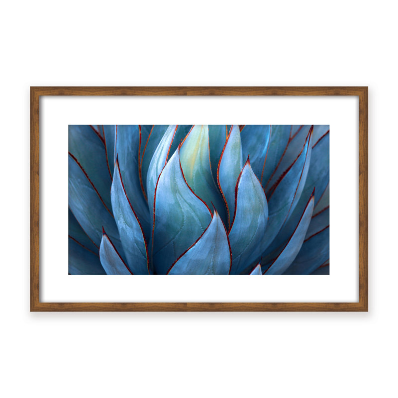 Nature Inspired Blue Agave Abstract by  - Picture Frame Graphic Art on Paper, 24" H x 36" W x 1.125" D, Black