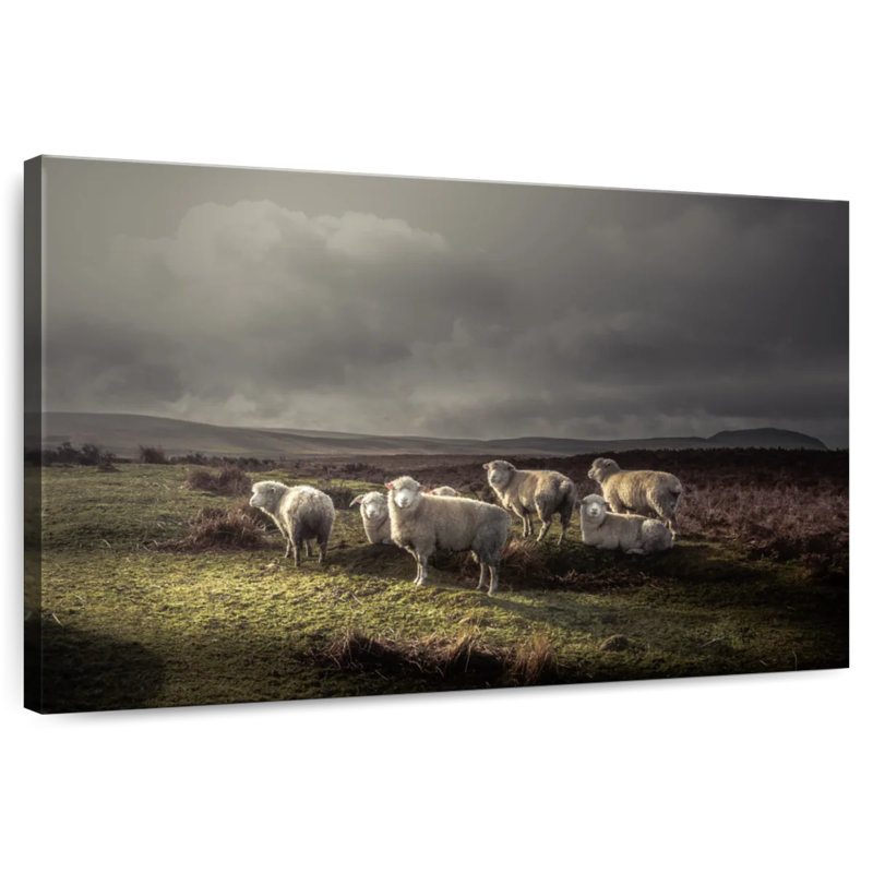 Brampt Storm Grazing Sheep, 26" H x 39" W