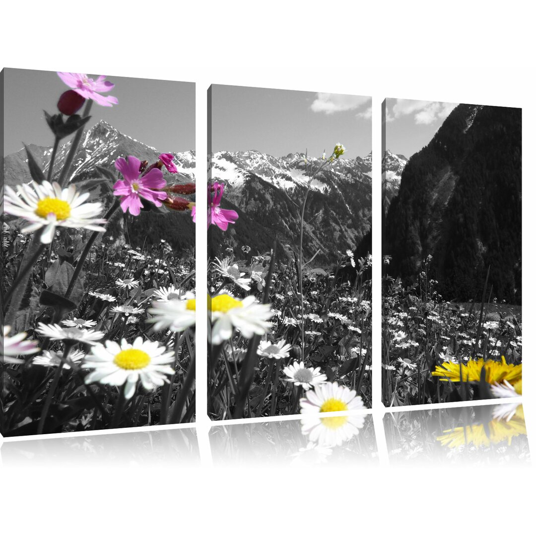 3-tlg. Leinwandbilder-Set „Schöne Blumenwiese", Fotodruck