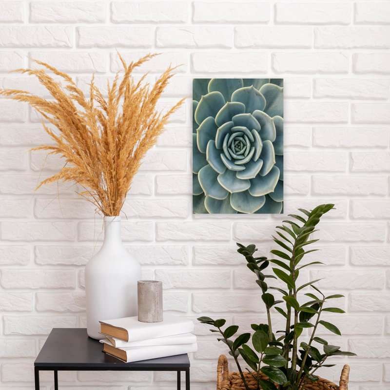 «Succulent Plant», art mural contemporain succulent, H 18 po x l 12 po