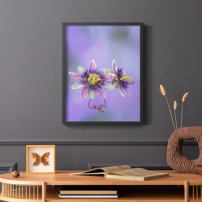 Exotic Flower Burst II Framed Print - Solid Wood, Black, 20" H x 16" W