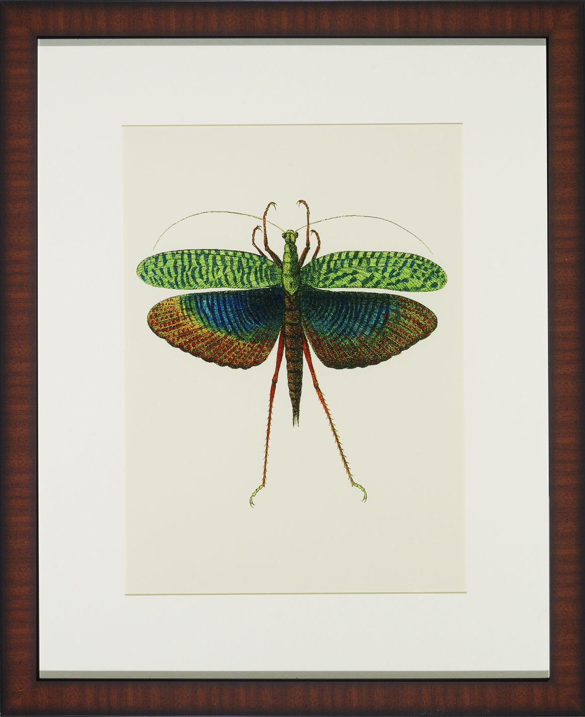 Wendover Art Group Tropical Insect II - Picture Frame Graphic Art | Wayfair